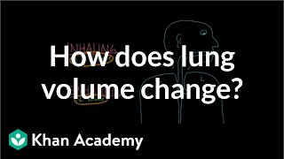 How does lung volume change  Respiratory system physiology  NCLEXRN  Khan Academy [upl. by Malim]