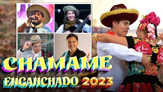 Chamame Enganchado 2023🎶 Sele Vera Lázaro Caballero Hernán Arias y más [upl. by Kanor638]