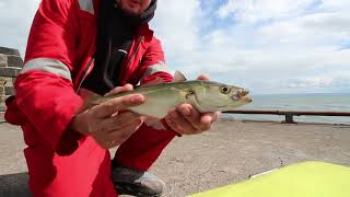 FISHING ANSTRUTHER FIFE [upl. by Anwad352]