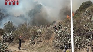 Incendio forestal en Collserola [upl. by Samid]