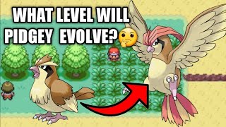 How to Evolve Pidgey to Pidgeotto on Pokemon LeafgreenFirered [upl. by Kneeland]