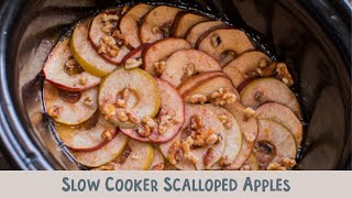 Slow Cooker Scalloped Apples [upl. by Ecerahc]