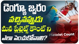 డెంగ్యూ జ్వరం వచ్చినప్పుడు మన ప్లేట్లెట్ కౌంట్ ను ఎలా పెంచుకోవాలి Dengue Fever  VenuVidya Hospital [upl. by Heiner]