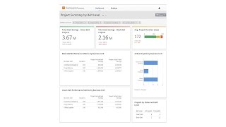 Summaries  Companion by Minitab Now Minitab Engage [upl. by Hahsi881]