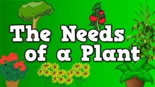 The Needs of a Plant song for kids about 5 things plants need to live [upl. by Sarad]