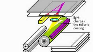 Xerography or electrophotography [upl. by Yajnas]