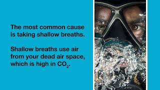 Respiration Oxygen and Carbon Dioxide [upl. by Aenej]