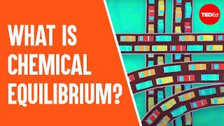 What is chemical equilibrium  George Zaidan and Charles Morton [upl. by Eilrahs209]