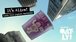 OATLY  OATGURT  IT’S ALIVE  Part 4 [upl. by Stepha]