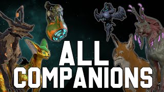 All Companions of Warframe [upl. by Vail371]