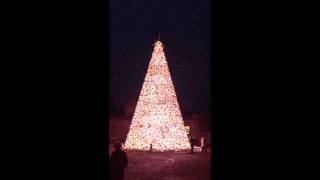 Christmas Tree Light Show at Longleat Safari Park [upl. by Komara]