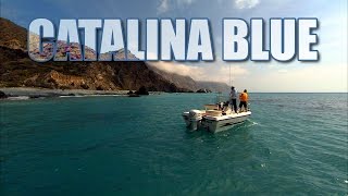 Calico Bass Fishing Catalina Island California with DOA Lures [upl. by Eimarrej533]