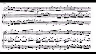 Bach Gamba sonata Bwv 1029  1st movement  31edo Microtonal Quartercomma Meantone [upl. by Erhart]