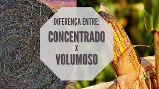 Diferença entre VOLUMOSO e CONCENTRADO  NUTRIÇÃO ANIMAL [upl. by Mackler]