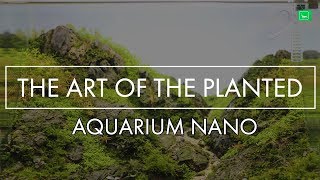 THE ART OF THE PLANTED AQUARIUM NANO Teil 12  Messe Magdeburg  GarnelenTv [upl. by Anotal65]