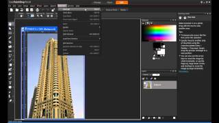 Corel PaintShop Pro X4  Background Removal [upl. by Desiri124]