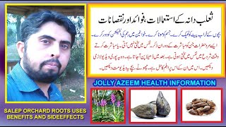 salab dana kay istimalat fawaid aor nuqsan  Salep orchid roots uses benefits and sideeffects [upl. by Hale]