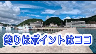 釣りポイント 10th 和歌山県東牟婁郡那智勝浦町 （勝浦港） [upl. by Kilbride310]