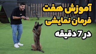 آموزش 7 فرمان نمایشی به سگ در 7 دقیقه [upl. by Ayrotal904]