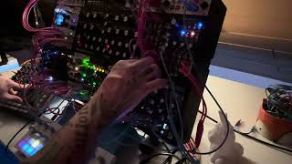 Modular synth Torso T1 Moog DFAM 1010music Bitbox  MindFoxx [upl. by Urson]