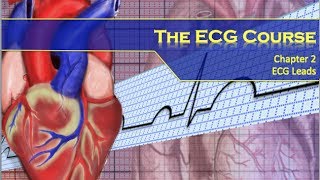 The ECG Course  Leads [upl. by Correna]