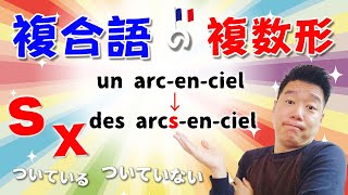 【フランス語🇫🇷】複合語の複数形のルールについて♯482 [upl. by Niahs473]