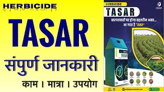 Tasar Herbicide Parijat DOES IT WORK 2024 farming [upl. by Aihsemak]