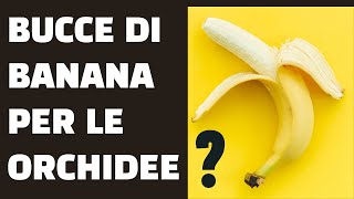 Bucce di banana buon concime per le orchidee [upl. by Lali]