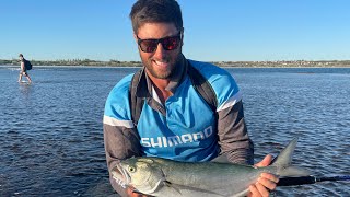 Geraldtons Tailor fishing at its best [upl. by Afatsom]