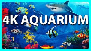 The Best 4K Aquarium for Relaxation 🐠 Relaxing Oceanscapes  Sleep Meditation 4K UHD Screensaver [upl. by Janeta394]