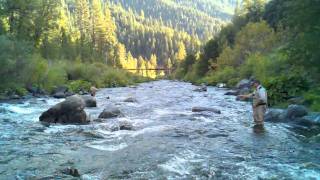 Fly Fishing Upper Sacramento River [upl. by Ika]