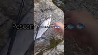 De pesca en el rio [upl. by Attayek]