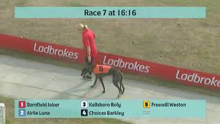 Crayford Greyhounds Races on 30th August 2024 [upl. by Veleda]