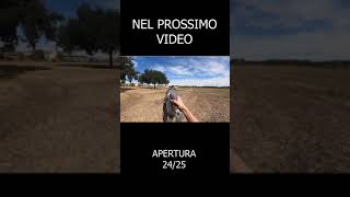 NEL PROSSIMO VIDEO short [upl. by Wemolohtrab859]