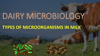 DAIRY MICROBIOLOGY II TYPES OF MICROORGANISMS IN MILK [upl. by Ylrehc322]