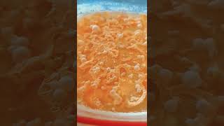 Lactobacillus fermenting Habanero peppers relaxing nature asmr lactofermentation [upl. by Kallista]