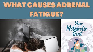 What Causes Adrenal Fatigue [upl. by Wilder717]