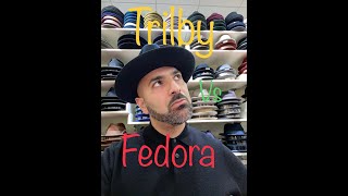 Fedora vs Trilby [upl. by Mani246]