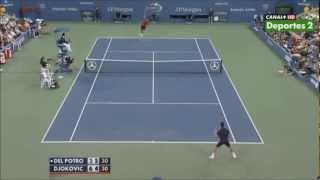 Novak Djokovic crazy defensive skills vs Del Potro HD [upl. by Tavie300]