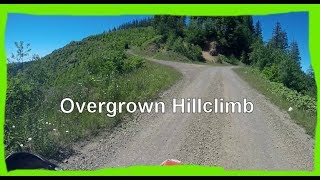 Maico 700  Overgrown Hillclimb Dirtbike Riding S3 E24 [upl. by Inanuah]