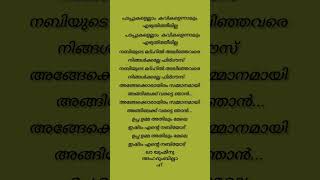 Uppa umma athilum mele song lyrics✨madhsong lyrics uppa umma islamicvideo [upl. by Nnylylloh]