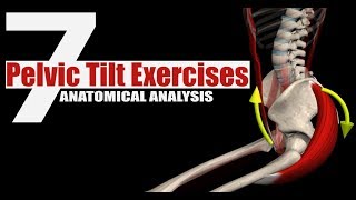 7 Pelvic Tilt Exercises  Anatomical Analysis [upl. by Derte]