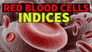 RED BLOOD CELLS  INDICES  DrSonu Yadav  Pathology Kingdom  Haematology [upl. by Elorac255]