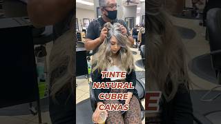 TINTE NATURAL PARA CUBRIR EL PELO BLANCO DE UNA MANERA EFICAZ🩶 Lulytips shortsyoutube [upl. by Baram]