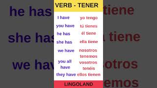 Spanish Verb tenerto have shorts spanish español shortvideo verb [upl. by Shelton]