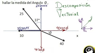 Como se hace la descomposición rectangular de vectores [upl. by Acinemod540]