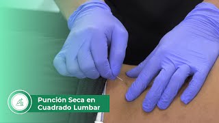 Punción seca en cuadrado lumbar [upl. by Idak]