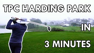 TPC Harding Park 18 Holes in 3 Minutes [upl. by Atilrep]