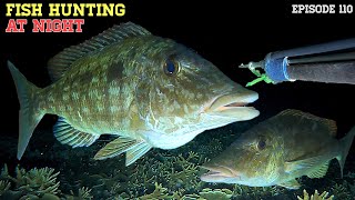 NIGHT SPEARFISHING EPISODE 110  FISH HUNTING AT NIGHT [upl. by Chemar]