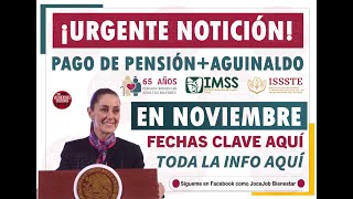 ¡Llegan los Aguinaldos Mes de Noviembre traerá grandes beneficios para pensionados [upl. by Eedrahc]